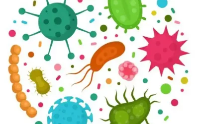 Le Microbiote peut être un partenaire actif à l&rsquo;immunothérapie