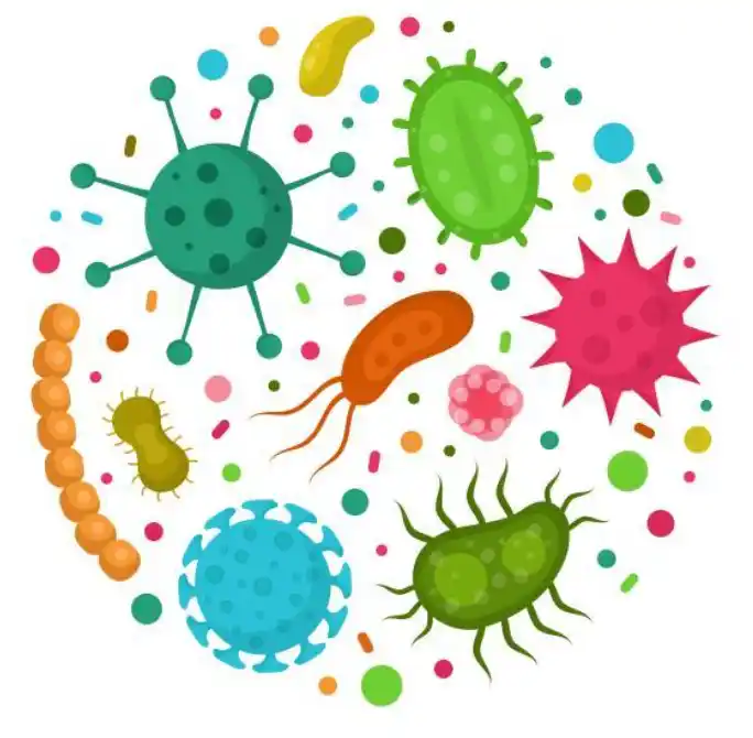 Le Microbiote peut être un partenaire actif à l&rsquo;immunothérapie